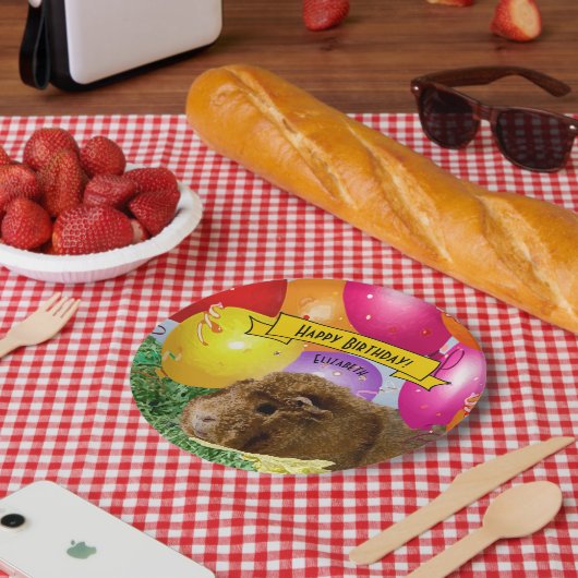 Aangepaste Guinee-Bissause kleurrijke ballonnen Papieren Bordje (Picknick)