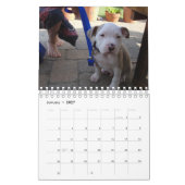 Aangepaste Hallo Pet 2021 Kalender (Jan 2027)