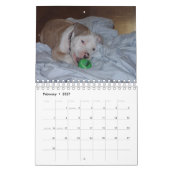 Aangepaste Hallo Pet 2021 Kalender (Feb 2027)
