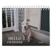 Aangepaste Hallo Pet 2021 Kalender (Hoes)