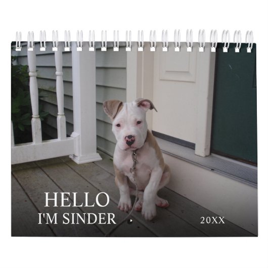 Aangepaste Hallo Pet 2021 Kalender (Hoes)