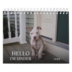 Aangepaste Hallo Pet 2021 Kalender