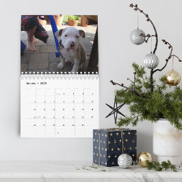 Aangepaste Hallo Pet 2021 Kalender