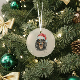 Aangepaste Hand Getrokken Teckel Portret en Naam Glas Ornament