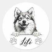 Aangepaste handtekening van Pomsky-hond Ronde Sticker (Voorkant)