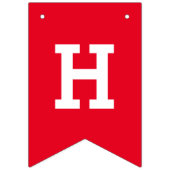 Aangepaste Happy Birthday Party Bunting Banner Vla (Tweede vlag)