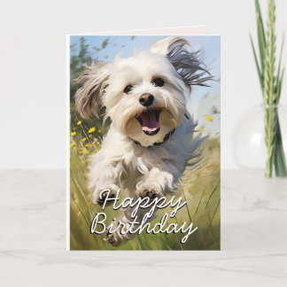 Aangepaste Havanese Verjaardag Kaart