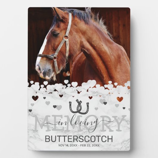 Aangepaste herdenking huisdier paard foto fotoplaat (voorkant)
