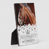 Aangepaste herdenking huisdier paard foto fotoplaat (Zijkant)