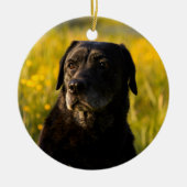 Aangepaste herdenking voor Labrador hond Keramisch Ornament (Voorkant)