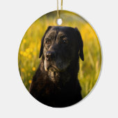 Aangepaste herdenking voor Labrador hond Keramisch Ornament (Links)