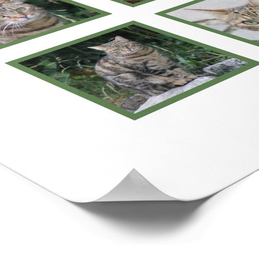 Aangepaste Herdenkingsposter voor huisdieren Poster (Hoek)