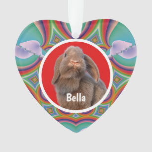 Aangepaste Holland Lop Konijn Foto Naam Regenboog  Ornament