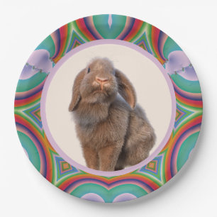 Aangepaste Holland Lop Konijn Foto Regenboog Kunst Papieren Bordje