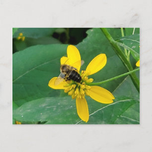 Aangepaste hommel op een gele bloem ansichtkaarten briefkaart