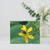 Aangepaste hommel op een gele bloem ansichtkaarten briefkaart (Staand voorkant)