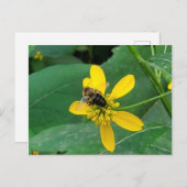 Aangepaste Hommels op een Gele Bloem Ansichtkaarte Briefkaart (Voorkant / Achterkant)