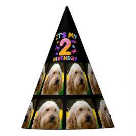Aangepaste hond Foto 2e verjaardagsfeestje Pet Feesthoedjes