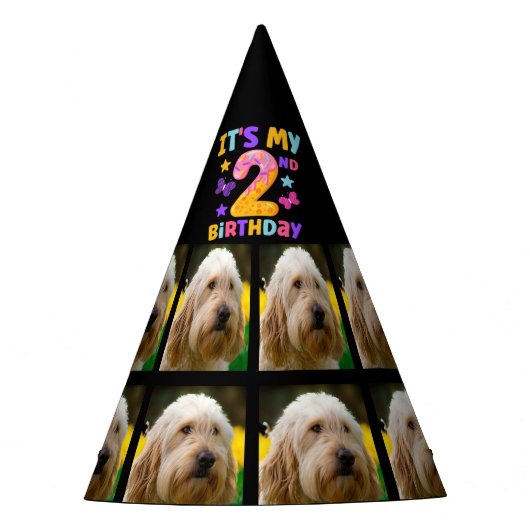 Aangepaste hond Foto 2e verjaardagsfeestje Pet Feesthoedjes (Voorkant)
