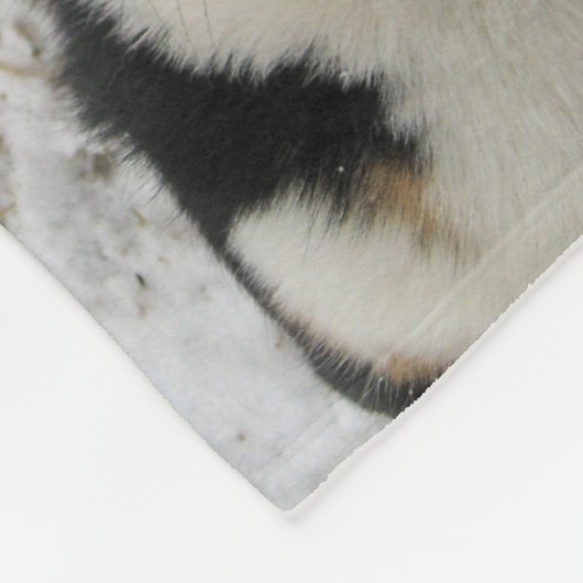 Aangepaste hond Foto Collage Pet Paw Print Black Fleece Deken (Hoek)