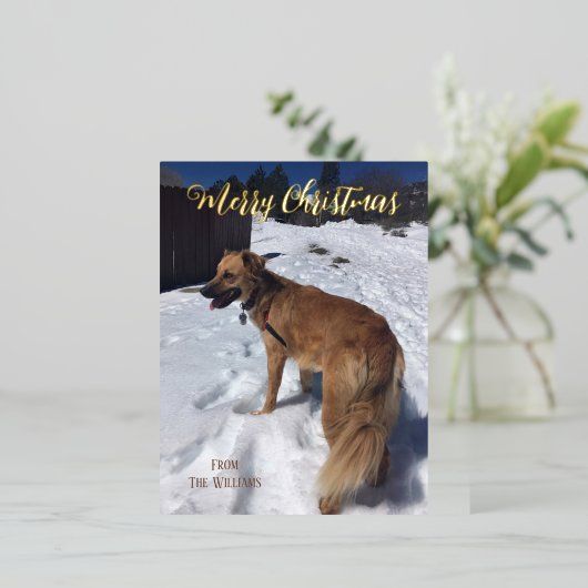 Aangepaste hond foto folie kerstkaart folie feestdagen briefkaart (Staand Voorkant)