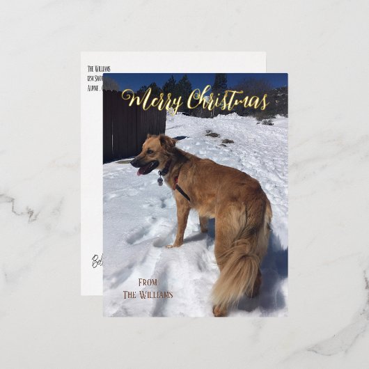 Aangepaste hond foto folie kerstkaart folie feestdagen briefkaart (Voorkant / Achterkant)