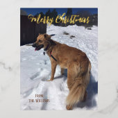 Aangepaste hond foto folie kerstkaart folie feestdagen briefkaart (Voorkant)
