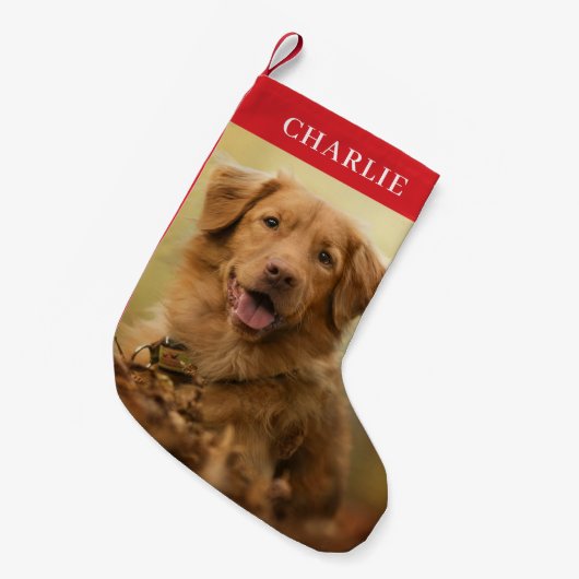 Aangepaste hond foto gepersonaliseerde huisdier kleine kerstsok (Voorkant (Hangend))
