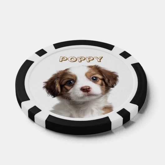 Aangepaste Hond Foto & Naam Poker Chips (Enkel)