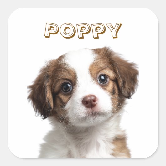 Aangepaste Hond Foto & Naam Sticker (Voorkant)