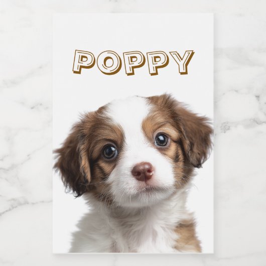 Aangepaste Hond Foto & Naam Voedsel Container Labe Voedselcontainer Etiket (Enkel label)