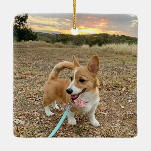 Aangepaste hond foto  roze dubbelzijdig keramisch ornament (Achterkant)