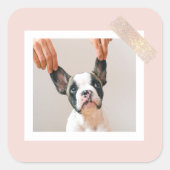 Aangepaste Hond Foto Stickers | pastelroze Lijst (Voorkant)