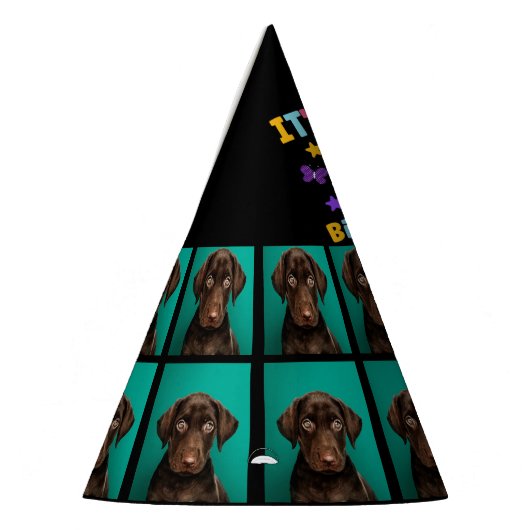 Aangepaste hond Foto vijfde verjaardagsfeestje Pet Feesthoedjes (Links)