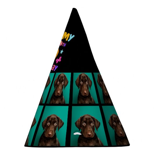 Aangepaste hond Foto vijfde verjaardagsfeestje Pet Feesthoedjes (Rechts)