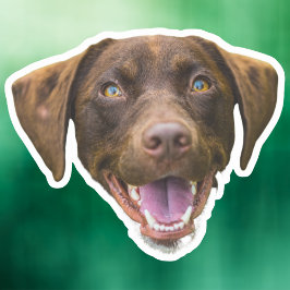 Aangepaste Hond Gezicht Sticker, Hondenliefhebber  Sticker