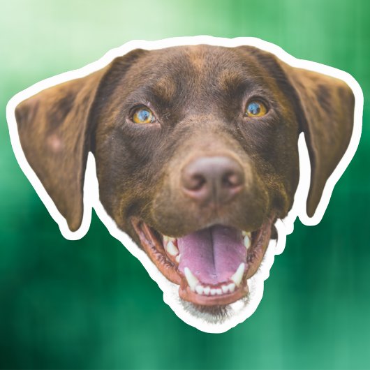 Aangepaste Hond Gezicht Sticker, Hondenliefhebber  Sticker