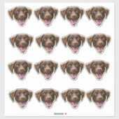 Aangepaste Hond Gezicht Sticker, Hondenliefhebber  Sticker (Vel)