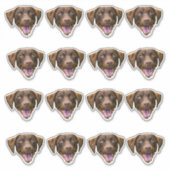 Aangepaste Hond Gezicht Sticker, Hondenliefhebber  Sticker (Voorkant)