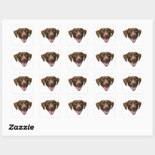Aangepaste Hond Gezicht Sticker, Hondenliefhebber  Vierkante Sticker