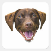 Aangepaste Hond Gezicht Sticker, Hondenliefhebber  Vierkante Sticker (Voorkant)