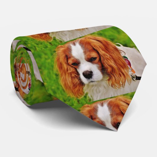 Aangepaste hond huisdier foto collage stropdas (Opgerold)