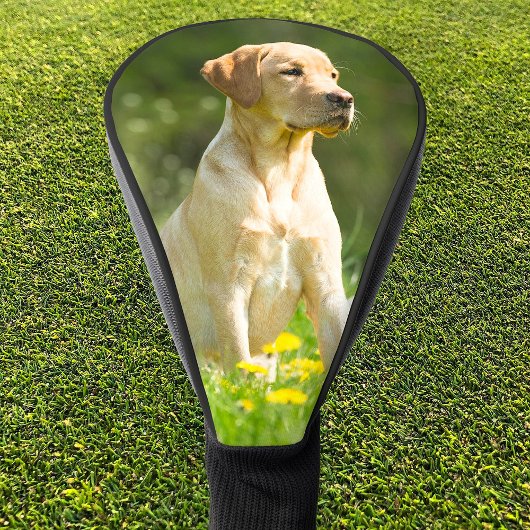 Aangepaste Hond Kat Foto Eenvoudig Gepersonaliseer Golfheadcover