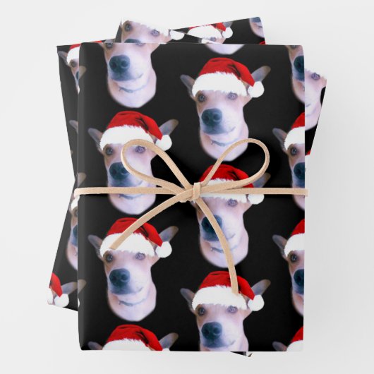 Aangepaste hond met kerstmis inpakpapier vel (In situ)