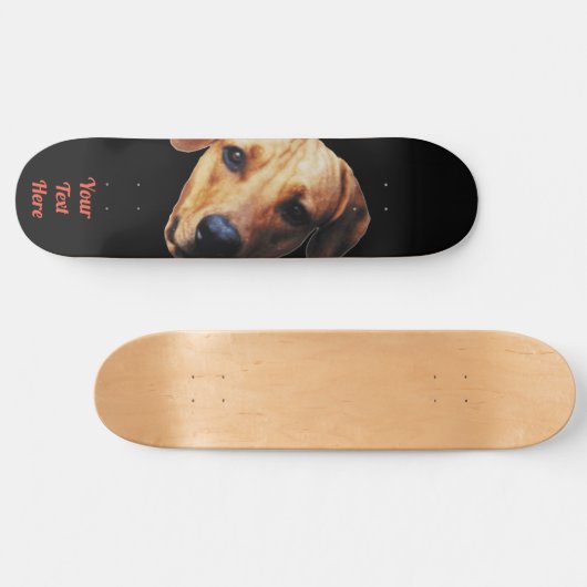 Aangepaste hond op skateboard (Horizontaal)