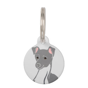 Aangepaste hond van de Italiaanse Greyhound rong-t Huisdierpenning