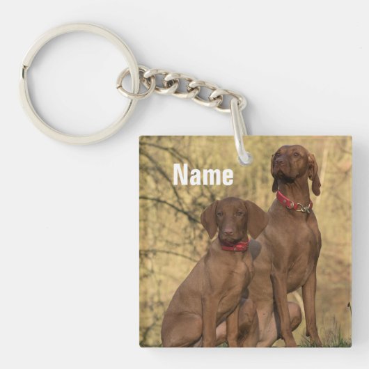 Aangepaste honden voor honden die Vizsla Hondshond Sleutelhanger (Voorkant)
