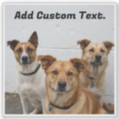 Aangepaste hondenfoto en tekst toevoegen voor Pet  Sticker (Voorkant)