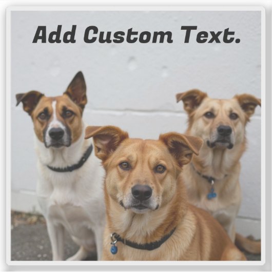 Aangepaste hondenfoto en tekst toevoegen voor Pet  Sticker (Voorkant)