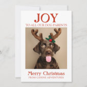 Aangepaste Hondenfoto Joy Holiday Kaart Dog Walker (Voorkant)